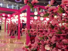 -深圳龙华星河COCO City(民治店)
