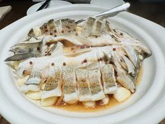 -单家老院·院子里的青岛菜(沙子口店)