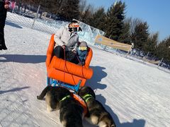-长春世界雕塑园冰雪艺术天地