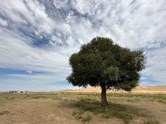 -亿利库布其七星湖沙漠生态旅游区