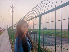 -百万葵园