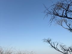 -九华山公园