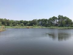 -西湖风景区-江洋畈生态公园