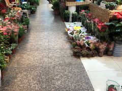 -双季花艺园艺市场(浦东店)