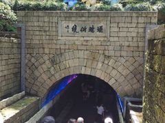 -瑶琳仙境