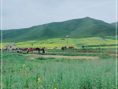 -扁都口生态休闲旅游区