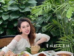 -梧桐