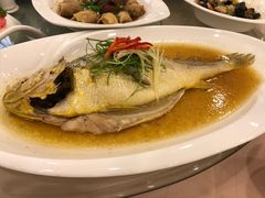 清蒸大黄鱼-上海老饭店(北京分店)
