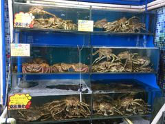 -蚝专家(北滘店)