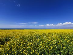 -青海湖国家重点风景名胜区