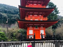 -有栖山 清光院 清水寺