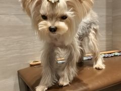 -它主义宠物(梁溪万达店)