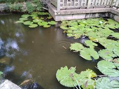 -晓港公园