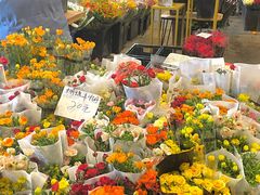 -三圣花乡旅游区