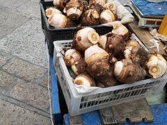 -溪口-滕头旅游景区