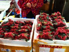 -青石桥市场北1-27号