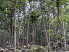-洛阳白云山景区