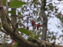 -元大都城垣遗址公园