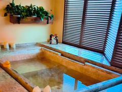 -春晖园度假酒店温泉