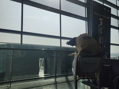 -麦当劳(郑州新郑机场)