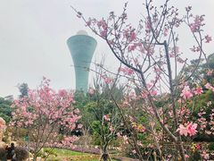 -狐尾山公园