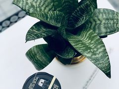 -OT另茶(上海幸福里店)