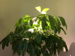 -浅深(世茂滨江精品店)