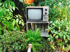 -胡桃里乐队酒馆(鎏嘉码头店)