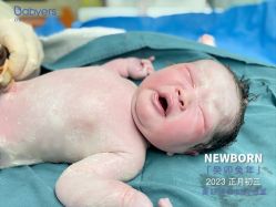 点击看大图 -杭州贝瑞斯美华妇儿医院·早孕·产检·儿科