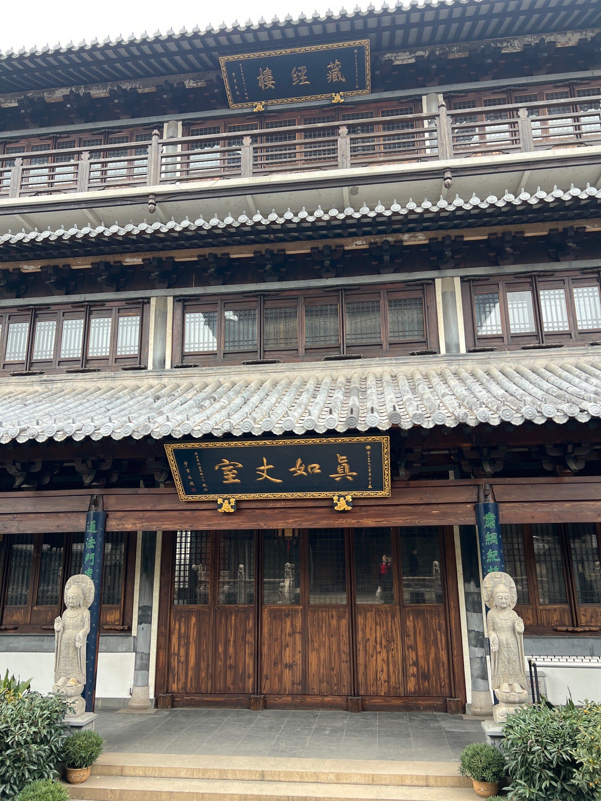 带外婆来真如寺喂小鸽子,老年人免票哦