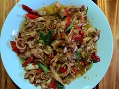 -半坡九号老挝冰咖啡