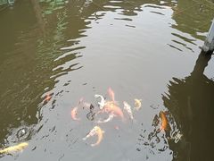 -豫园湖心亭茶楼
