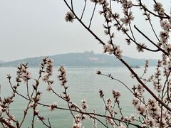 -颐和园