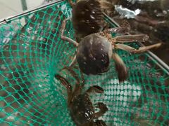 -阳澄湖大闸蟹·琼灵阁牌品牌连锁(吴中总店)