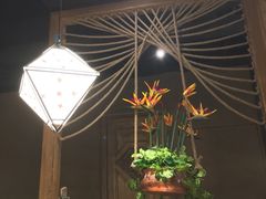 -云海肴·汽锅鸡·云南菜(天津国金汇店)