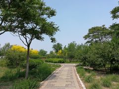 -东疆建设开发纪念公园
