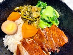 -MR鹅外