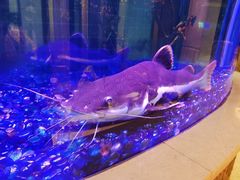 -碧涛阁水世界酒店(万家丽路店)