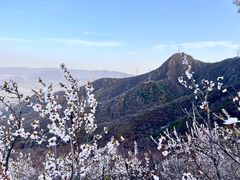 -阳台山自然风景区