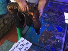 -侨美唐荔园·宴会厅(唐荔园食艺馆店)