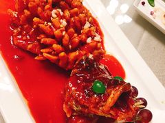 松鼠桂鱼-松鹤楼(狮山永利广场店)