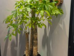 -山水雅居·江南雅宴(运河公园店)