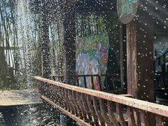 -呀路古热带植物园