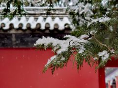 -颐和园