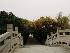 -白马涧龙池景区