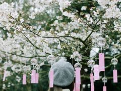 -杭州少年儿童公园