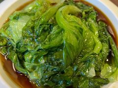 蚝油有机生菜-老广酒楼(樱花店)