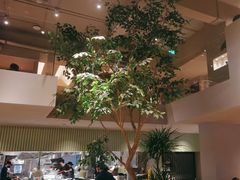 -KimPro 辛普乐概念韩餐