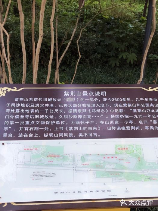 紫荆山公园图片