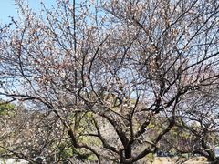 -团城山公园